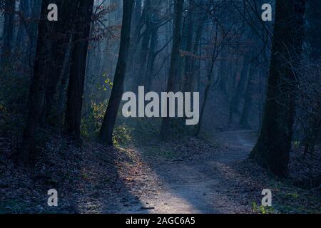 Belle photo d'un sentier sombre dans le parc Maksimir à Zagreb, Croatie Banque D'Images