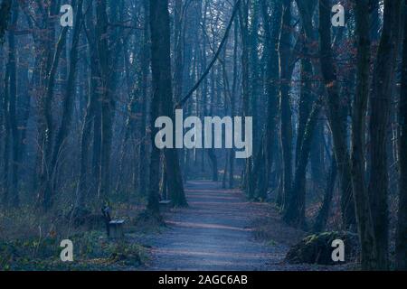 Belle photo d'un sentier sombre dans le parc Maksimir à Zagreb, Croatie Banque D'Images