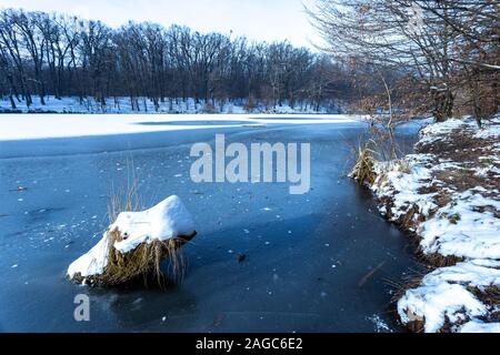 Morceau de bois recouvert de neige dans le lac gelé de Maksimir, Zagreb, Croatie Banque D'Images