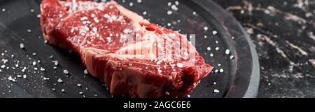 Vue panoramique tourné de filet de boeuf cru saupoudré de sel et de poivre sur la surface en bois rond