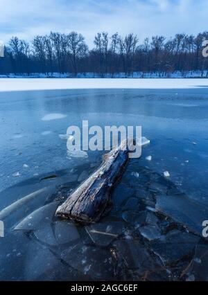 Plan vertical d'un morceau de bois dans le lac gelé à Maksimir, Zagreb, Croatie Banque D'Images