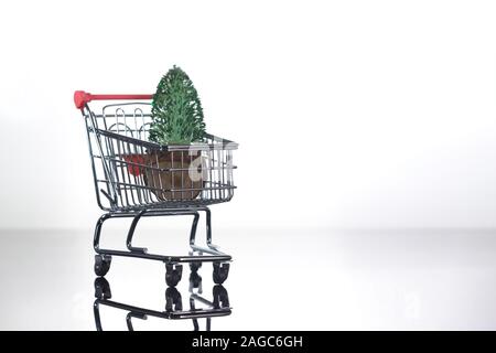 Mini sapin de Noël à l'intérieur petit Panier sur fond clair Banque D'Images