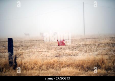 Aucun signe d'intrusion sur les Barbelés avec les chevaux en arrière-plan à Foggy Meadow Banque D'Images