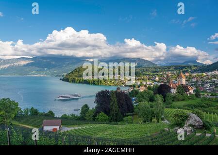 Château de Spiez au bord du lac de Thoune, Spiez, Oberland Bernois, Suisse Banque D'Images