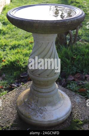 Bain d'oiseaux, faite sur le béton avec de l'eau reflet, dans le jardin, en patio. Banque D'Images