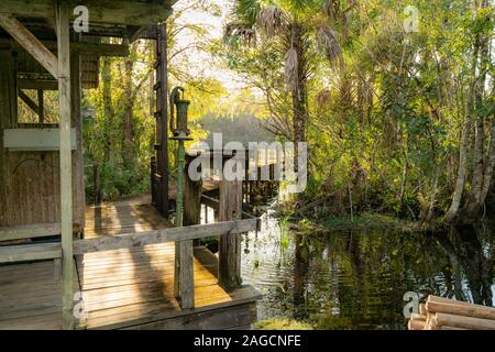 Fakahatchee Strand State Preserve, Everglades, en Floride. Banque D'Images