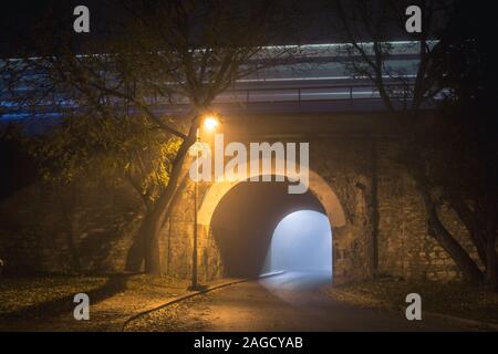 Le Tunnel. Pont de chemin de fer. Sortir avec la brume et le brouillard effrayant la nuit. Je passe juste par train sur le pont. Banque D'Images