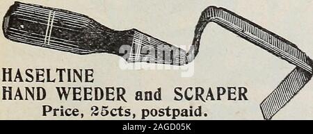 . Bulbes et graines : automne 1899. Jamais  = pause en acier forgé solide jardin truelle. 6 pouce de long. Manche en bois dur. Chambre dans le style, la finition et la qualité. Prix, 26cts, postpayé.. HASELTINE PART BINEUSE et SCRAPERPrice, 35cts, services postpayés. Banque D'Images