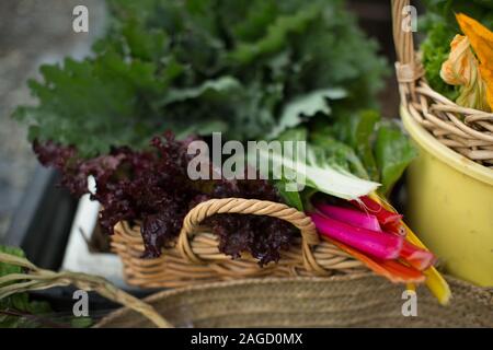 Beaucoup de légumes différents dans les paniers rasés avec un flou contexte - saine alimentation mode de vie Banque D'Images