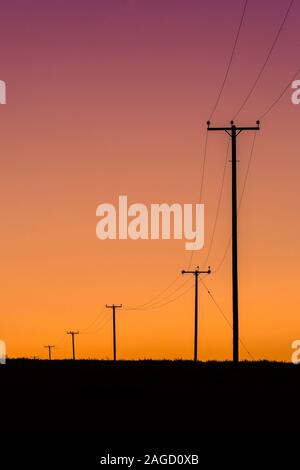 Les pylônes électriques du National Grid transportant des lignes électriques traversent la campagne du Suffolk après le coucher du soleil de l'hiver. Banque D'Images