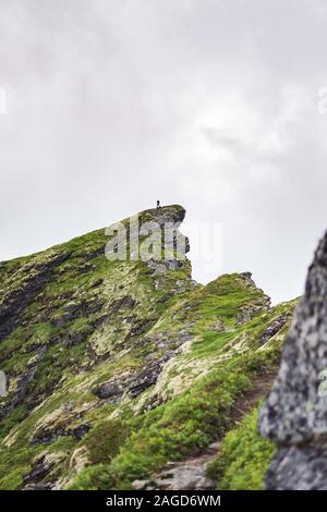 Plan vertical d'un rocher vert près du village de Reinebringen Des îles Lofoten Banque D'Images