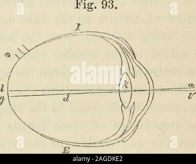 . Sur les anomalies de l'hébergement et à la réfraction de l'œil, avec une dissertation préliminaire sur dioptrics physiologique. Fig. 94. Banque D'Images