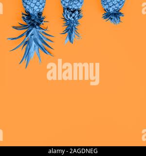 Dans les tons bleus avec créativité les ananas à l'orange drop solide avec place pour le texte. Moderne à la mode duotone arrière-plan. Square Banque D'Images