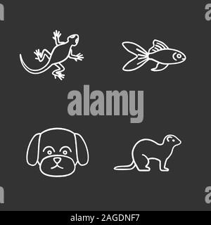 Chalk animaux icons set. Lézard, poisson rouge, maltaise, chien, furet. Illustrations vectorielles chalkboard Illustration de Vecteur