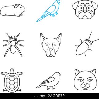 Animaux domestiques icons set linéaire. Cavia, perruche, pug, spider, dobermann, cancrelat, tortue, canaries (cat. Fine ligne contour des symboles. Isolé Illustration de Vecteur