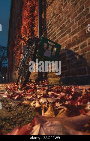 Photo verticale d'un vélo stationné près du mur de pavés sur le trottoir avec des feuilles mortes Banque D'Images