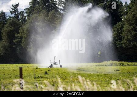 Un irrigateur portable au travail sur un champ agricole rural, Otago, Nouvelle-Zélande Banque D'Images