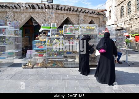 Doha, Qatar - novembre 21. 2019. Vendre des oiseaux sur Souq Waqif - marché pour la vente de vêtements traditionnels. Banque D'Images