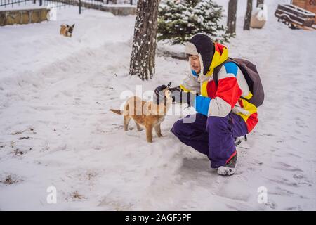 Young male snowboarder joue avec les chiots dans une station de ski en hiver Banque D'Images