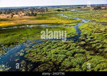 Marais verts et zones humides, prairies, rivière, vue aérienne du delta de l'Okavango, par hélicoptère, Botswana, Afrique australe, Afrique Banque D'Images
