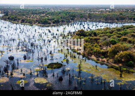 Marais verts et zones humides, rivière, vue aérienne du delta de l'Okavango, par hélicoptère, Botswana, Afrique australe, Afrique Banque D'Images