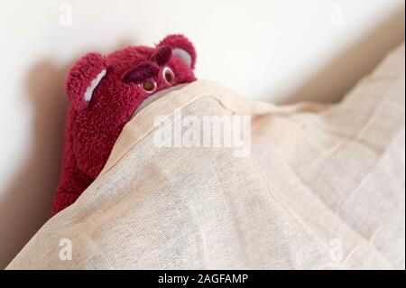 Ours en peluche rose sous les draps de lit Banque D'Images