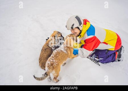 Young male snowboarder joue avec les chiots dans une station de ski en hiver Banque D'Images