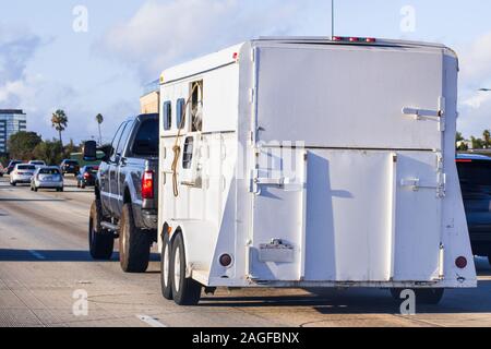 Transport de chevaux remorque tractée par un semi-remorque sur l'autoroute Banque D'Images