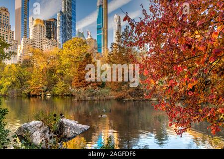 Feuillage d'automne, Central Park, Manhattan, New York, USA Banque D'Images