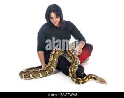 Python réticulé in front of white background Banque D'Images