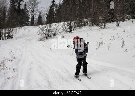 Skieur d'arrière-pays matures sur le sentier en montagnes Gorce, Pologne Banque D'Images