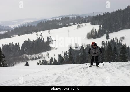 Skieur d'arrière-pays matures sur le sentier en montagnes Gorce, Pologne Banque D'Images