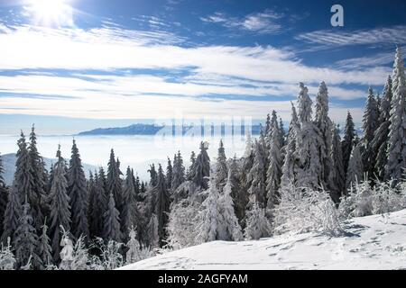 Paysage d'hiver, vue du sommet en Tutbacz La Gorce montagnes pour les Montagnes Tatra Banque D'Images