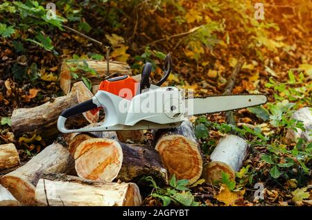 Scie à chaîne électrique dans la forêt se trouve sur cut logs. Banque D'Images