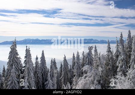 Paysage d'hiver, vue du sommet en Tutbacz La Gorce montagnes pour les Montagnes Tatra Banque D'Images