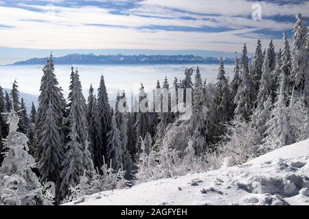 Paysage d'hiver, vue du sommet en Tutbacz La Gorce montagnes pour les Montagnes Tatra Banque D'Images