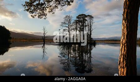 Loch Mallachie, Ecosse Banque D'Images