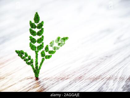 Blé vert signe sur fond de bois brouillée. 3D illustration. Banque D'Images