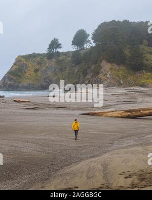 Female hiker walking on beach sur l'après-midi brumeux, California, USA Banque D'Images