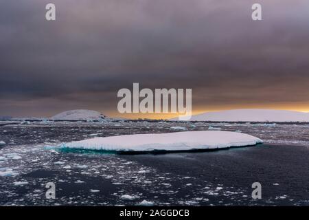 Les icebergs au coucher du soleil , Canal Lemaire, l'Antarctique Banque D'Images