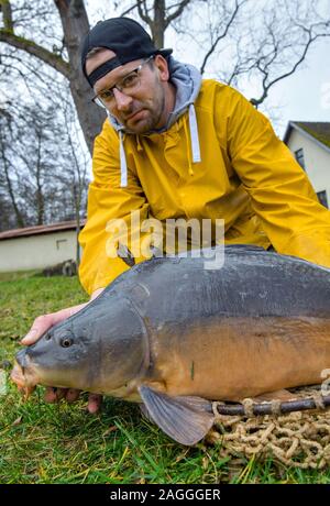 18 décembre 2019, le Brandebourg, Groß Schauen : David Becker, pêcheur en herbe de la pêcherie, Köllnitz montre une carpe. La carpe n'a pas facilement se tenir comme poisson. Il peut marquer des points avec son régionalisme et la durabilité. Photo : Patrick Pleul/dpa-Zentralbild/ZB Banque D'Images