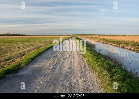 Route de gravier tout droit à travers un pré et canal d'eau - voir l'illuminé par le soleil du soir Banque D'Images