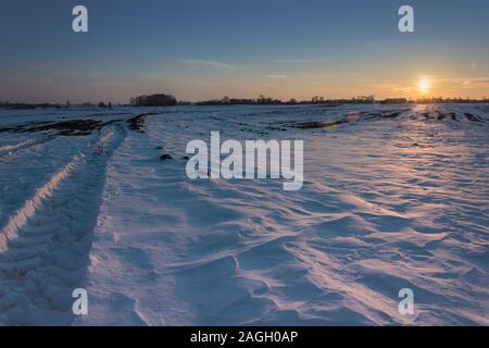 Lumière ensoleillée sur un grand champ neigeux avant le coucher du soleil - vue d'hiver Banque D'Images