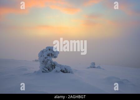 Scène hiver À Pallastunturi, Parc National de Pallas-Yllästunturi (Pallas-Yllästunturin kansallispuisto), Muonio, Finlande Banque D'Images