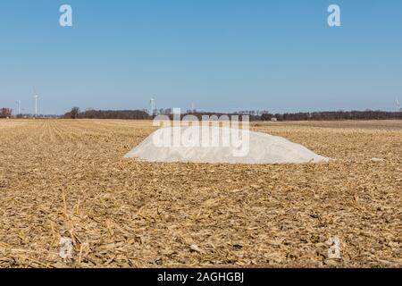 Pile de la chaux agricole pulvérisé dans un champ moissonné avec tiges, en attente de l'application d'engrais d'automne Banque D'Images