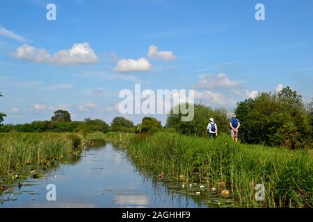 Les gens qui marchent le long de la rivière Lode Wicken Fen Wicken, réserve naturelle, Wicken, España
