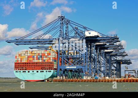 Evelyn Maersk est déchargé par les grues au port de Felixstowe Docks sur 21.9.18 après son arrivée le jour avant de Colombo. Banque D'Images