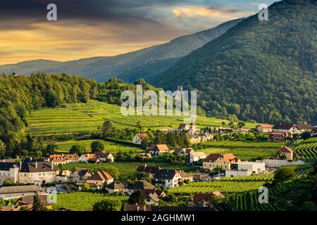 Vue sur le village de Spitz sur le Danube et vignobles de Wachau, Basse Autriche. Banque D'Images