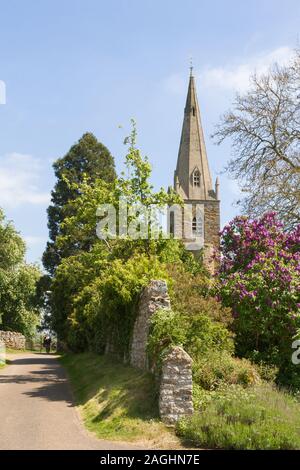 Brixworth, Northamptonshire, Royaume-Uni : la flèche et la tour De L'église De Tous les Saints se trouvent derrière un mur de pierre en ruines partiellement recouvert d'ivy et d'arbres. Banque D'Images