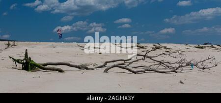 Bois flotté sur la plage sur l'île de feu avec un drapeau américain dans la distance et le ciel bleu au-dessus. Banque D'Images